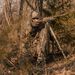 DeadShot&reg; Bipod - Mossy Oak Bottomland