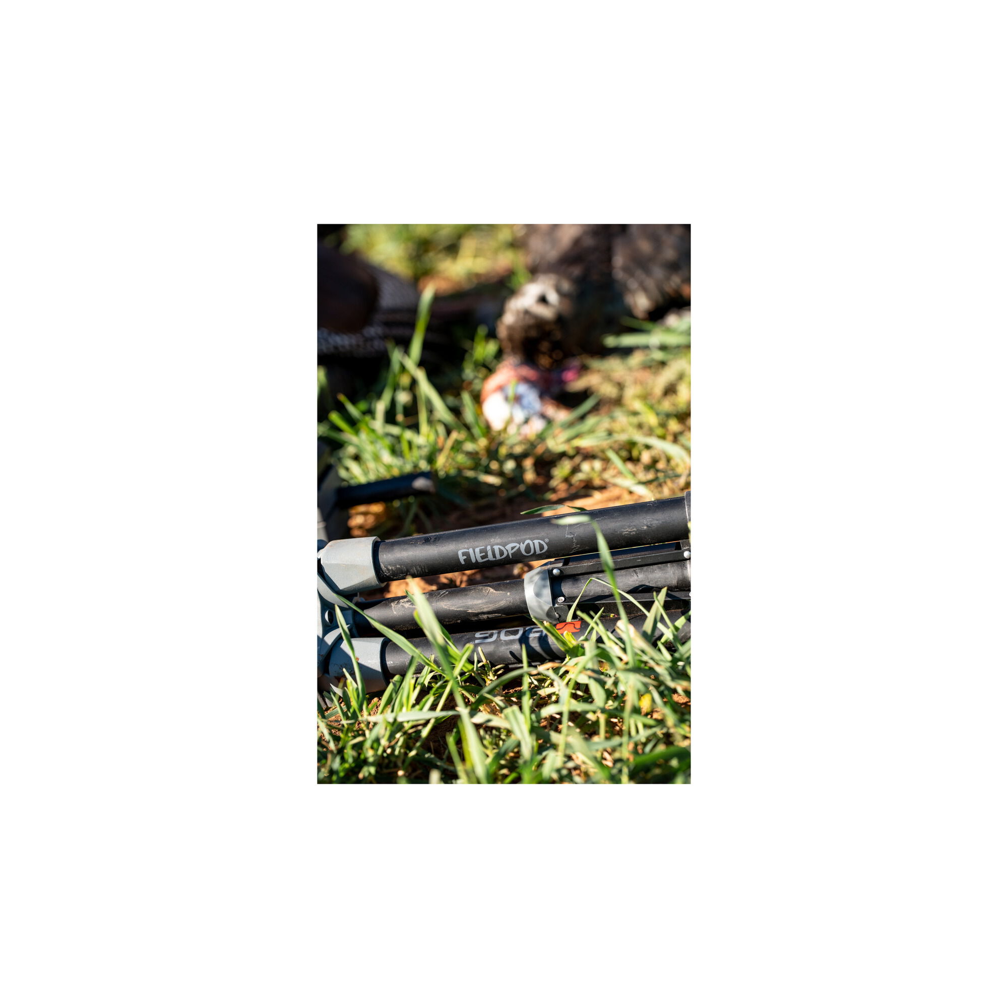FieldPod | Bog