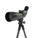 Bantam Tripod
